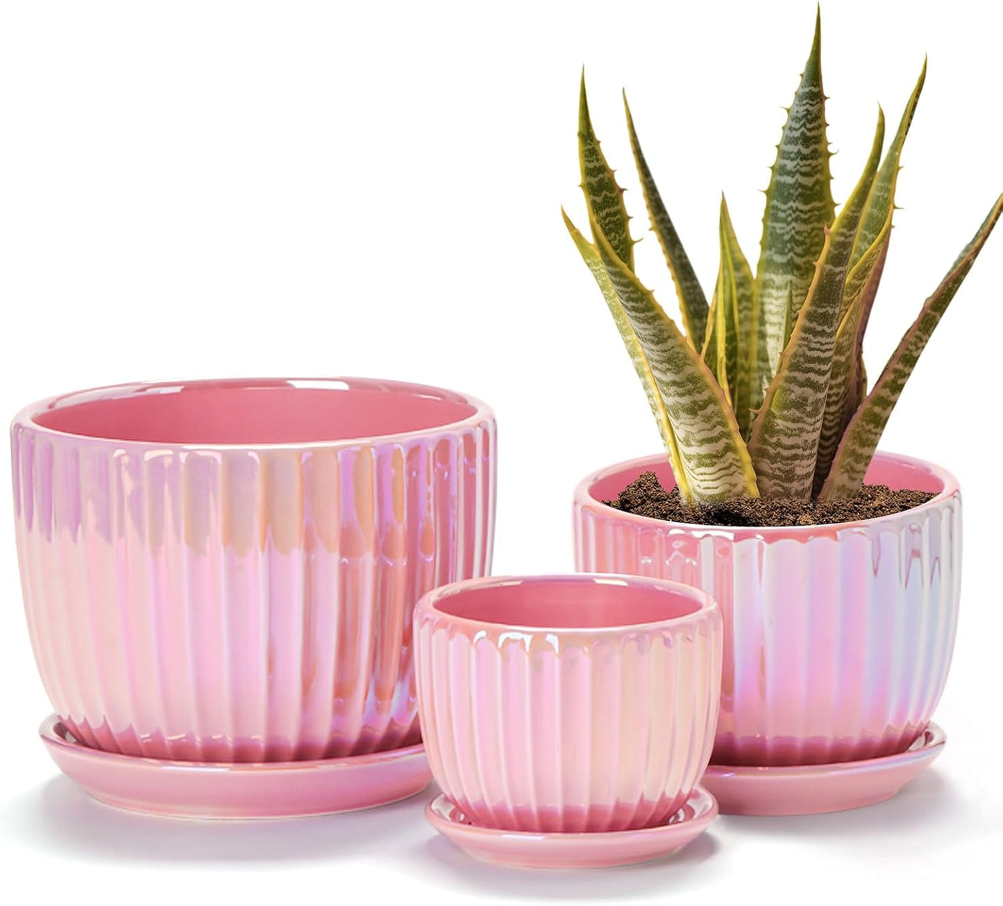 Ton Sin Pink Gold Ceramic Flower Pots, 4"+5"+6" Inch Small Glazed Succ