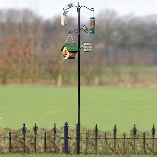 Bird Feeding Station (One Size) (May Vary)