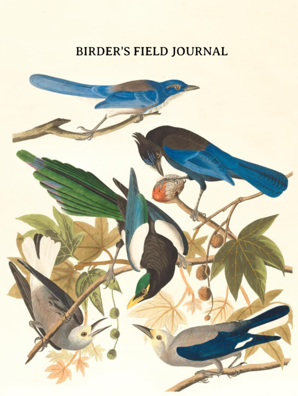 Birder's Field Journal: A Birdwatching Life List and Field Note Log Book