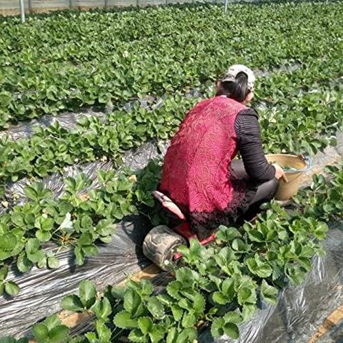 JSEIAJB Firm Iron Garden Cart Tool Planting Pickingstool Comfortable PU Sponge Seat Pad Moving Work Chair