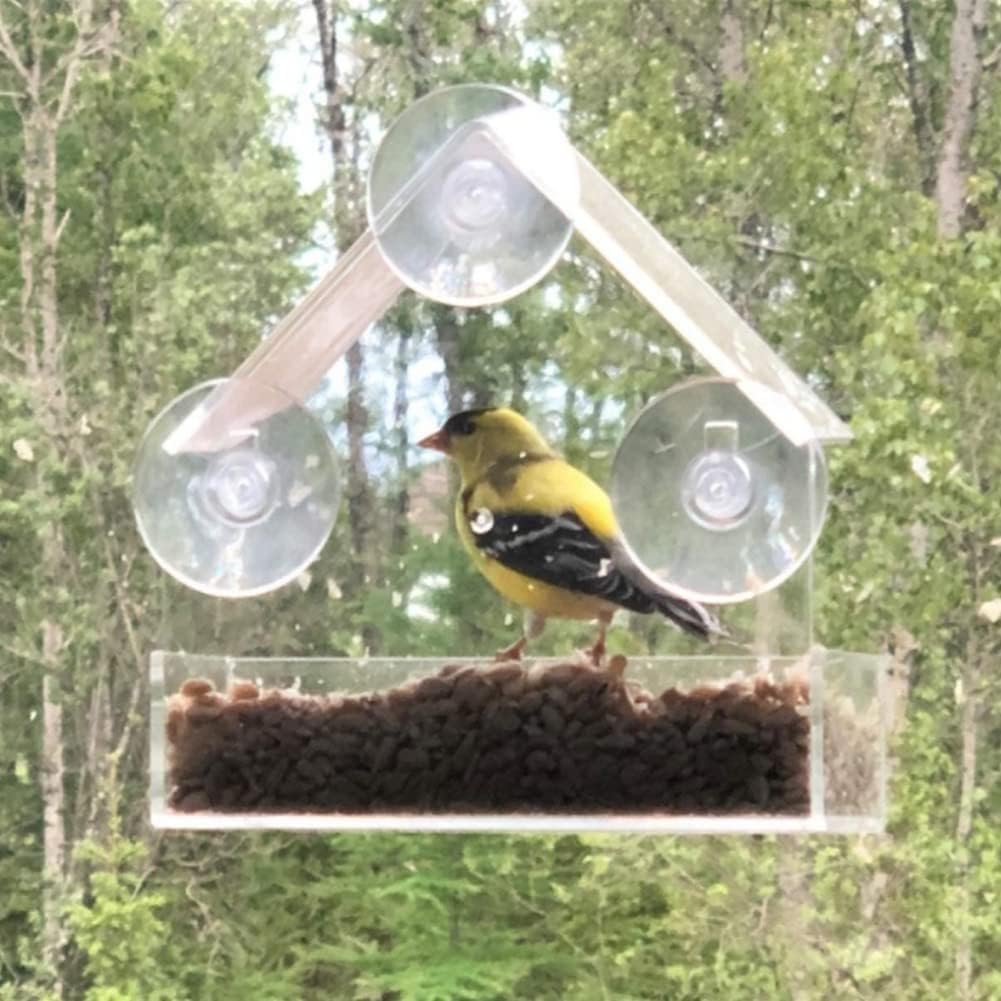 Window Bird Feeder, Transparent Bird Feeding Tool with Suction Cups for Garden, Balcony, Window or Home Office