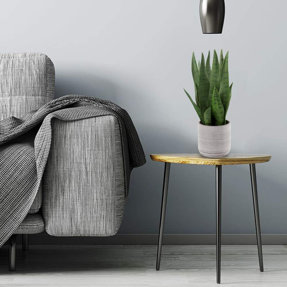 Briful Fake Snake Plant 16" Faux Potted Plant Artificial Snake Plant with Cement Pot Sansevieria Plant Perfect for House Modern Living Room Office Housewarming Gift Indoor Decor