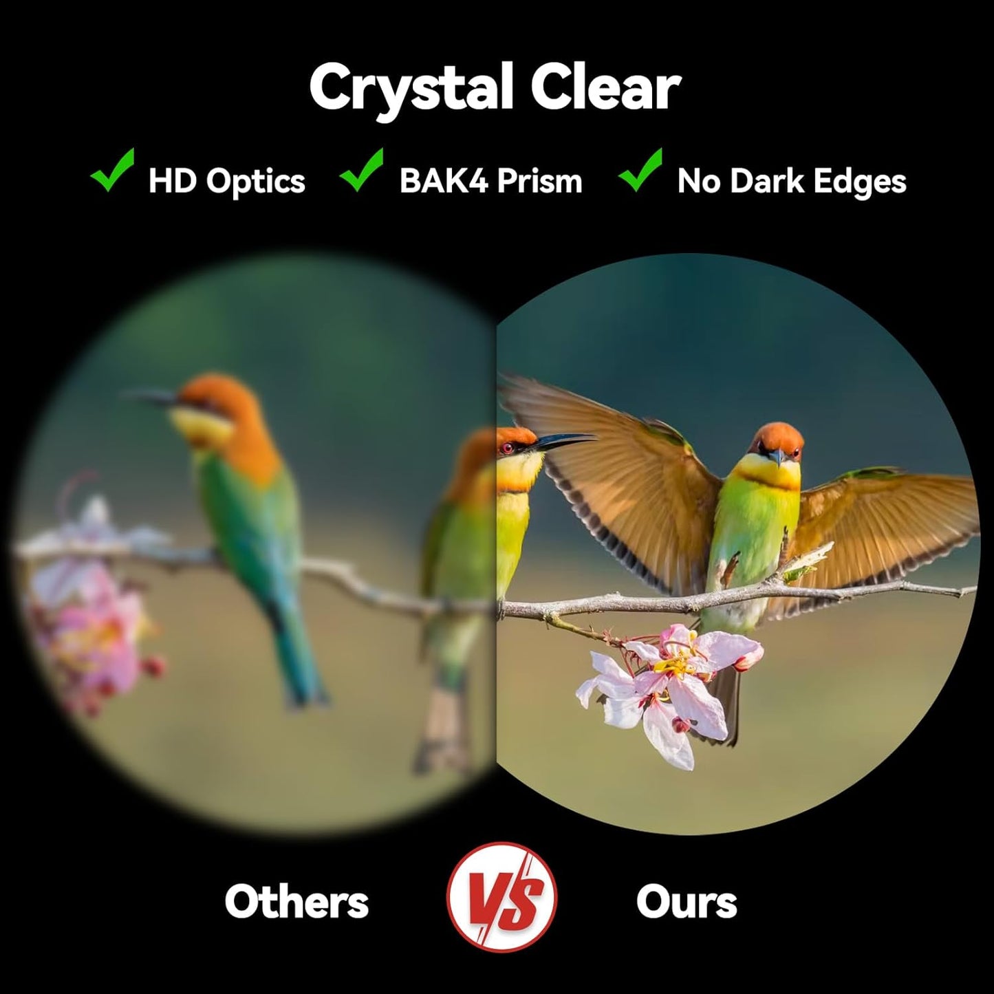 Binoculars for Adults High Powered: 12x42 HD Zoom Binocular for Bird Watching Hunting - Powerful Lightweight Waterproof Binoculars with Phone Adapter for Travel Cruise Ship Stargazing Hiking