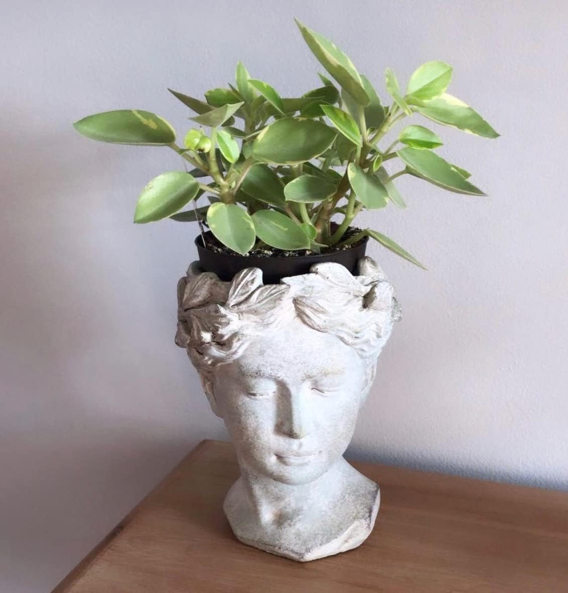 Distinctive Designs Greek/Roman Style Female Statue Head Cement Planter (Style 1)