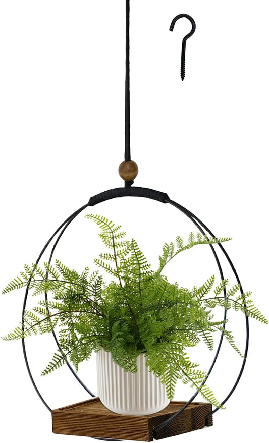 Hanging Planter for Indoor Plants, Black Plant Hanger Indoor with Sturdy Wood Base, Modern Boho Macrame Plant Hanger for 3-5.5 Inch Pot, Hanging Wall Ceiling Window Home Decor (Pots Not Included)