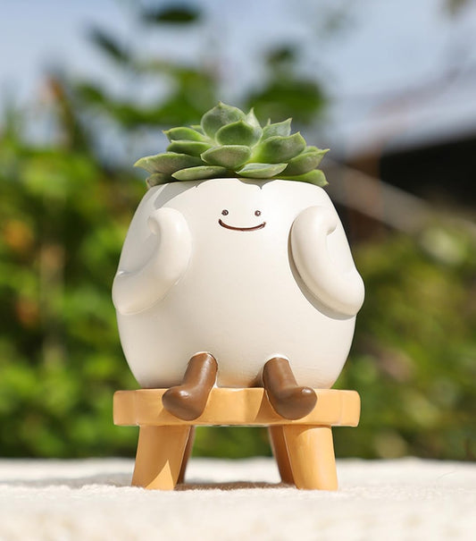 Cute Succulent Plants Pots Flowerpot, Pencils Holder Container (Starin