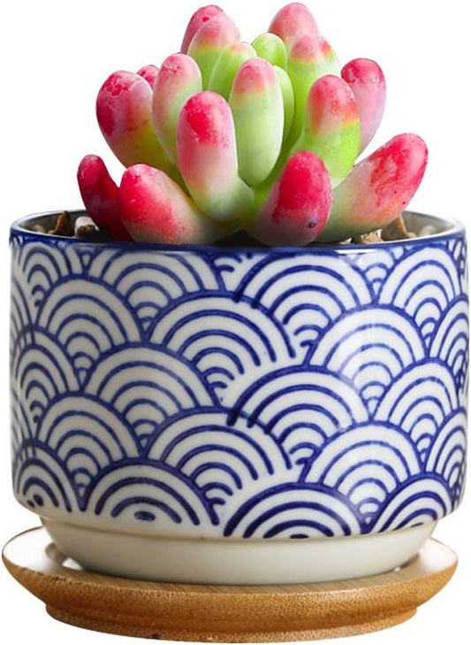 GeLive 3 Inch Ceramic Succulent Planter, Cactus Plant Pot, Flower Container with Bamboo Drip Tray, Indoor Outdoor, Set of 2 (Wave and Blue Flower)