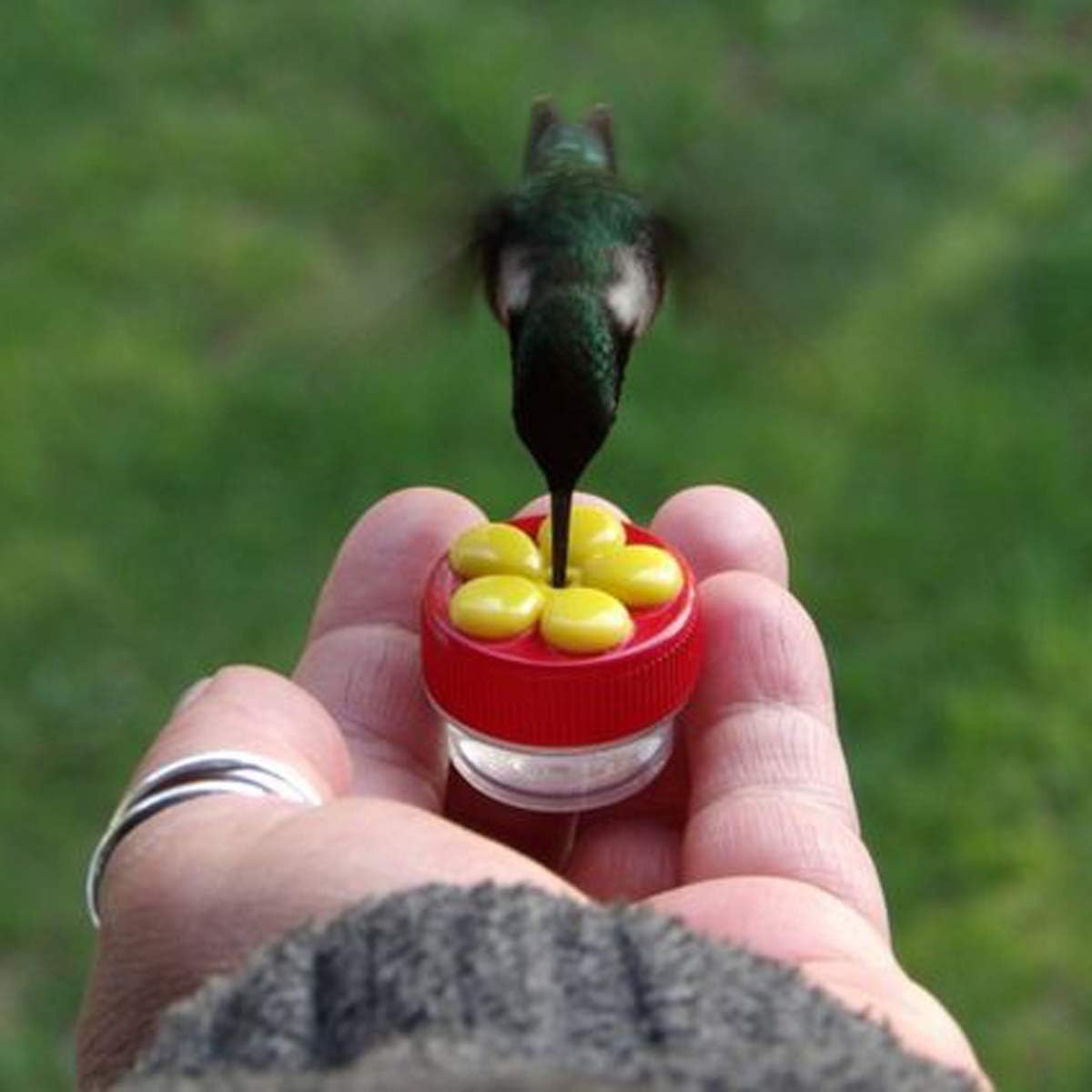 Naomo Handheld Hummingbird Feeders, Hand Feeders Suction Cup with Perches for Outdoors, Multifunctional Kit Includes Cleaning Brush (2 Pack)