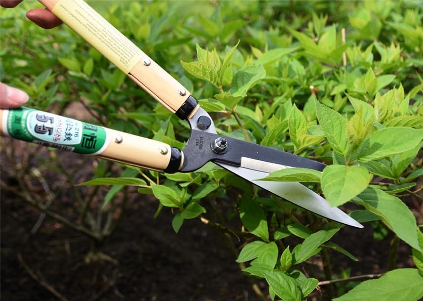 Okatsune Precision Hedge Shears 6" Blade, 20" total length