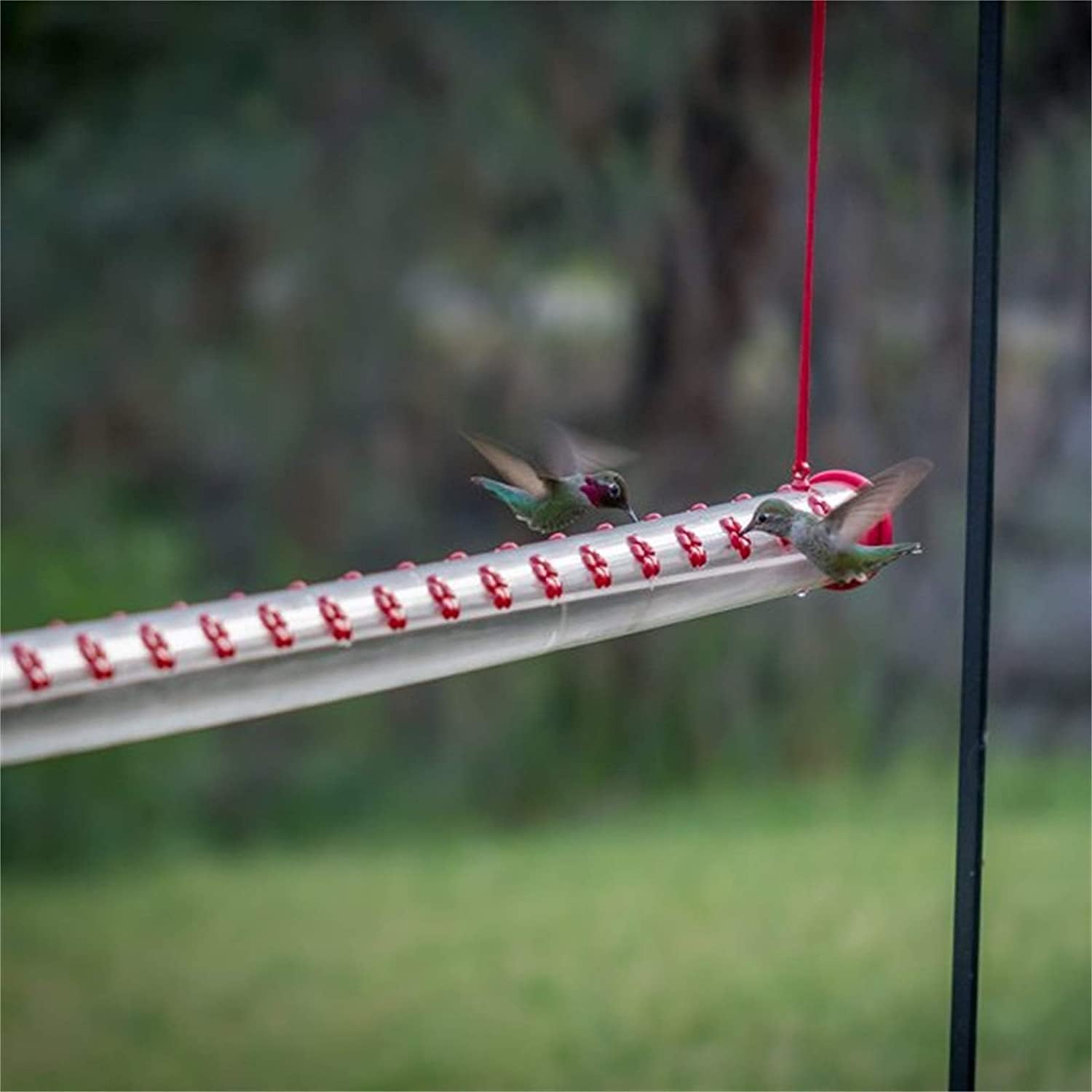 Hummingbird Feeder Transparent Tube Horizontal Hummingbird Feeders for