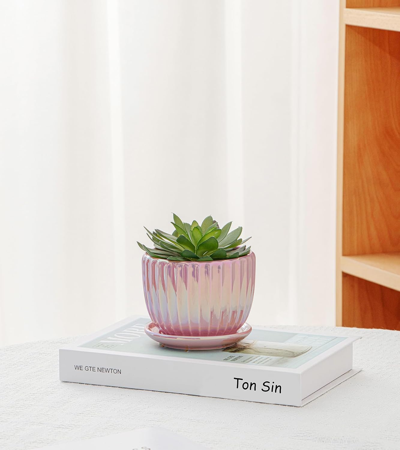 Ton Sin Pink Gold Ceramic Flower Pots, 4"+5"+6" Inch Small Glazed Succ