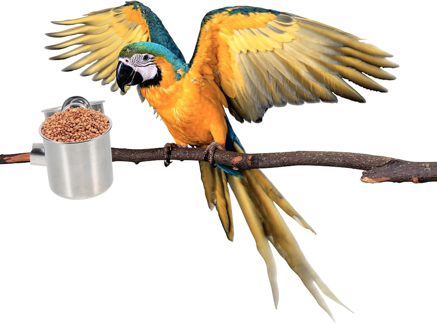 PRETYZOOM 2pcs Stainless Steel Bird Feeder Cups with Clip Holder Small and Medium Parrot Food Bowls for Bird Cage Feeding Sturdy Cage Food Holders for Parrots