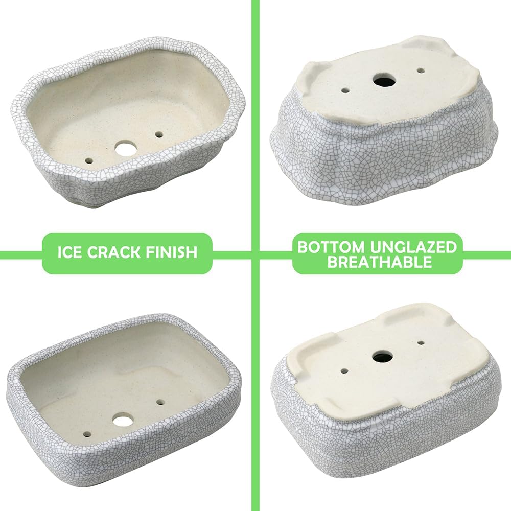 MUZHI 2 Pack Amazing Ice Crack Glazed Ceramic Bonsai Pot White Color 5 Inch with Bamboo Tray, Plant Pot Succulent Planter for Office Home Garden Decor Gift