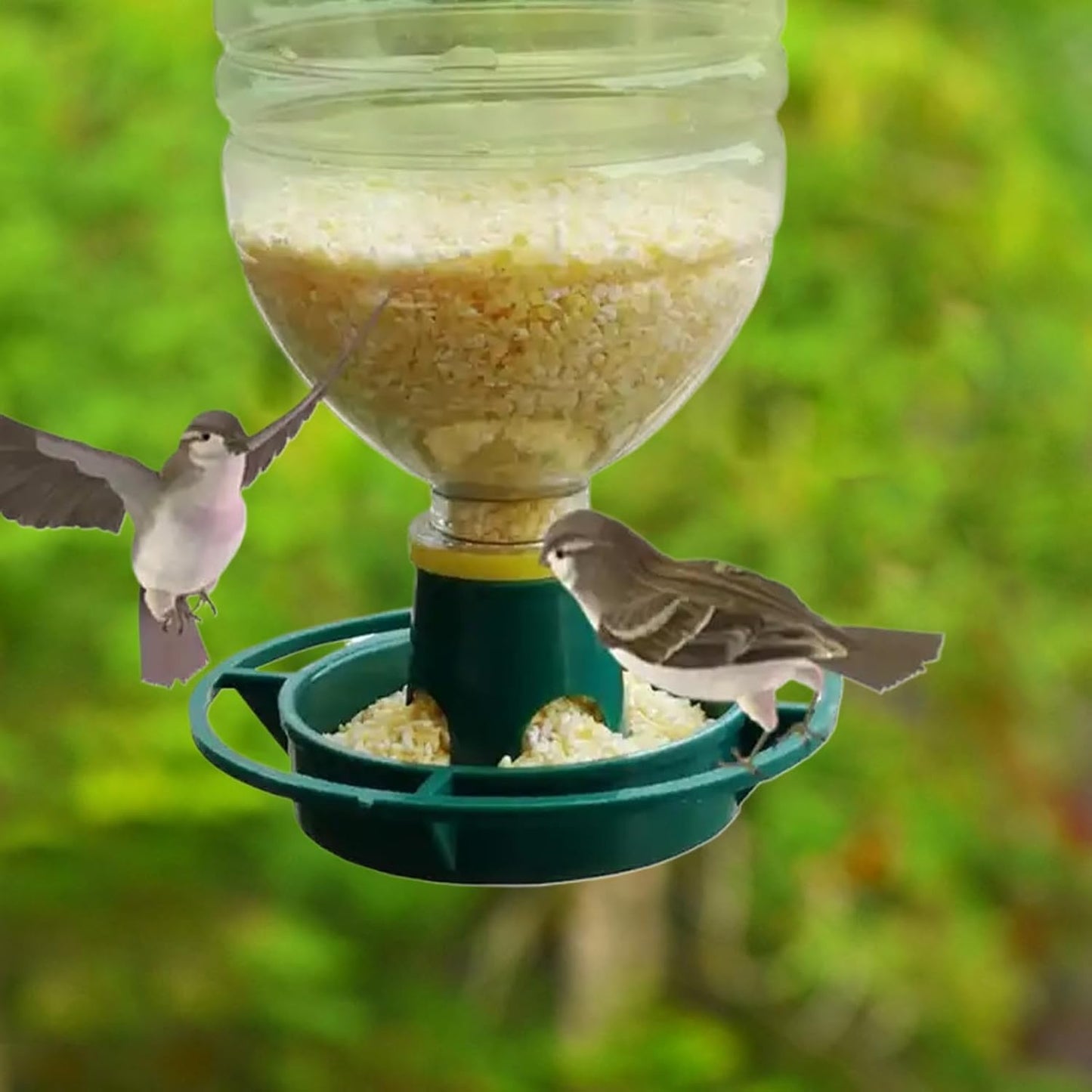 Outdoor Bird Feeder - Multifunctional Feeding Bowl for Garden | Hangable Lovebird and Parakeet Feeder, Watering Container & Easy Mount Design for Backyard, Balcony, Patio, Aviary, Small Birds