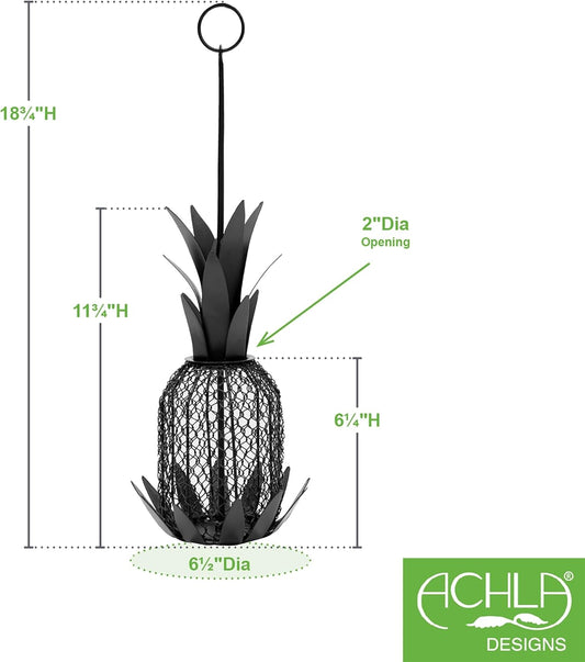 Pineapple Bird Feeder