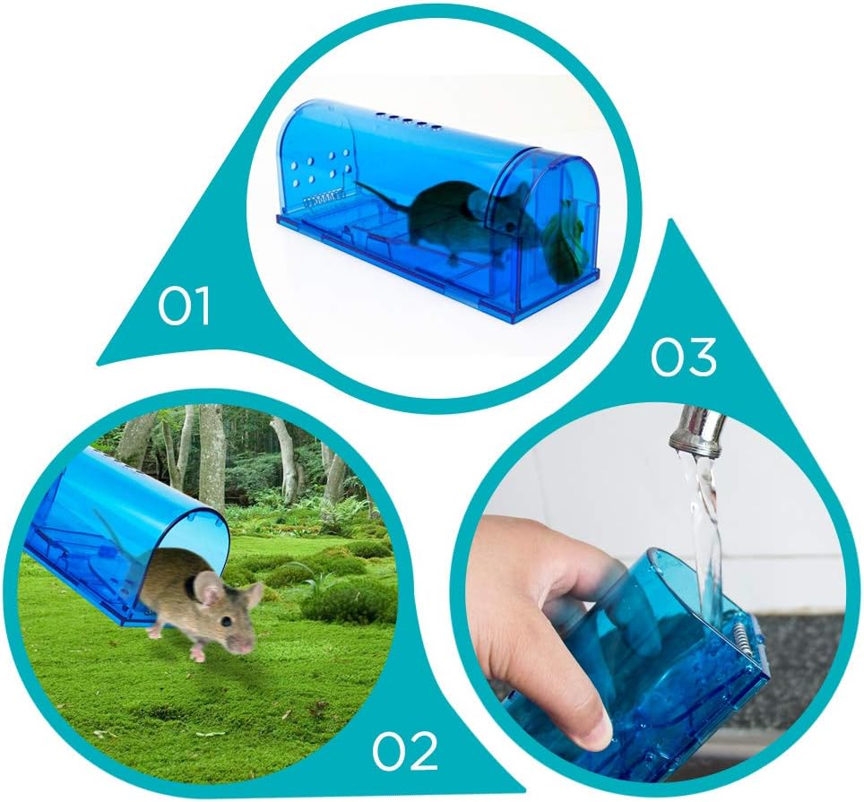 Humane Mouse Trap | Catch and Release Mouse Traps That Work | Mice Tra