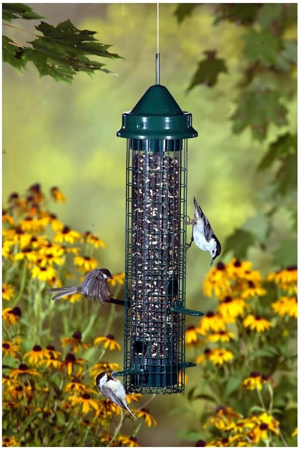 Brome Squirrel Buster Classic Squirrel-Proof Bird Feeder with 4 Feeding Ports, 2.4-Pound Seed Capacity (2 Pack)