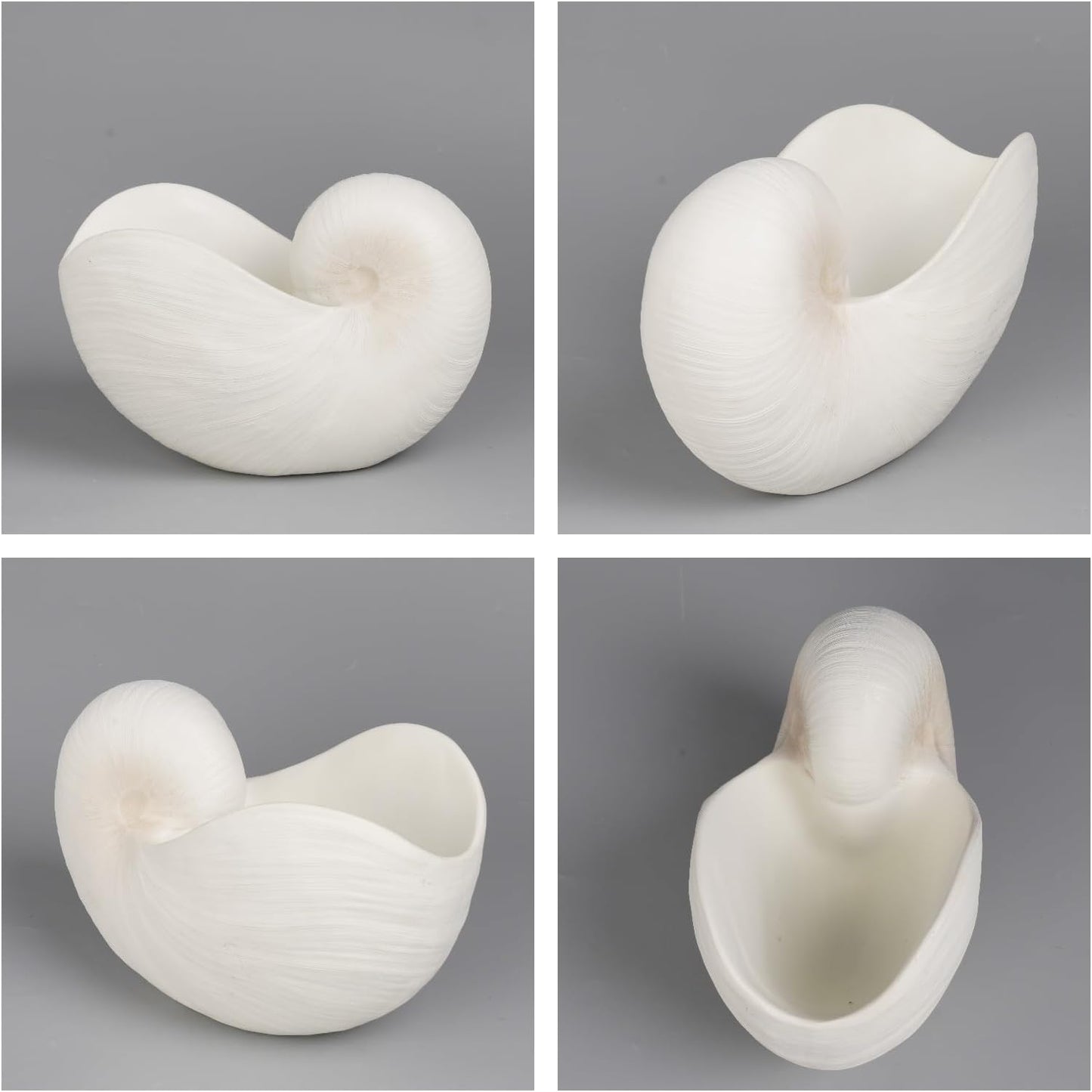 Braxio Modern Home Decor Sea Shell - Beach Themed Statue Resin Conch Shape Dish for Keys, Rings, or Succulent Planter - Coastal Decorative Bowls for Bathroom, Living Room, 12.25 x 6.25 x 8.25 Inch