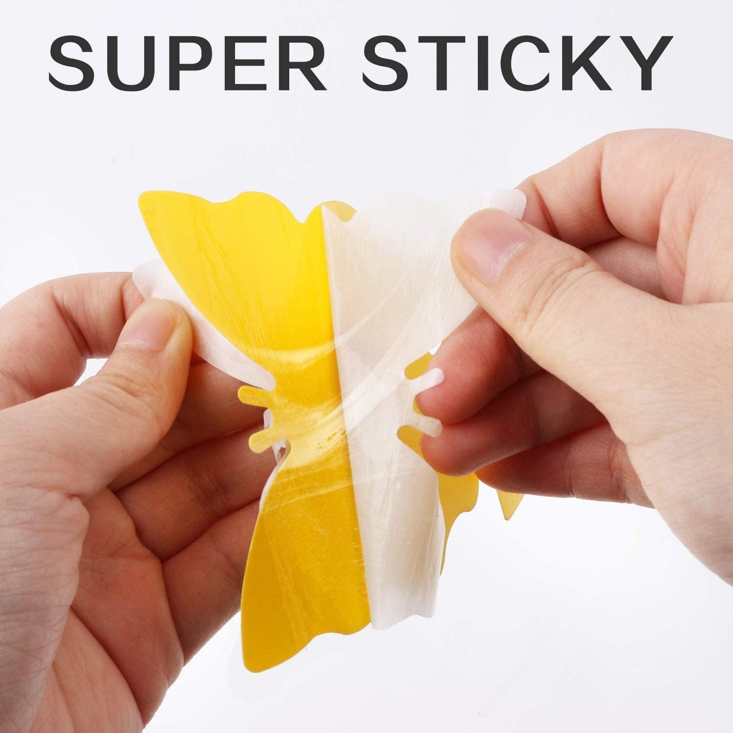 Fruit Fly Traps Fungus Gnat Traps Yellow Sticky Bug Traps 36 Pack No H