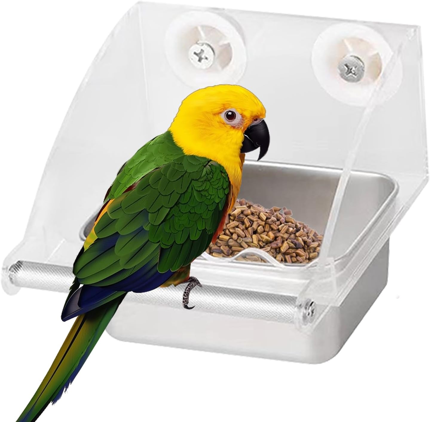 Bird Feeder – Transparent Cage Design, Anti-Slip Perch Feature, Stainless Watering Supply, Easy Fill Build, Premium Quality Outdoor Accessory, Feeding Tool for Patio Balcony Backyard