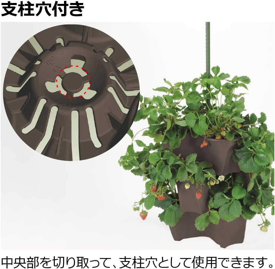 Richell Harberry Pot Type 52 N Dark Brown