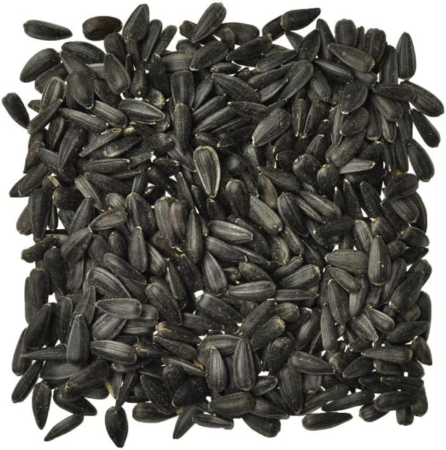 Black Oil Sunflower Seed Bird Seed - 25 lbs Bag Ideal for Wild Bird Fe