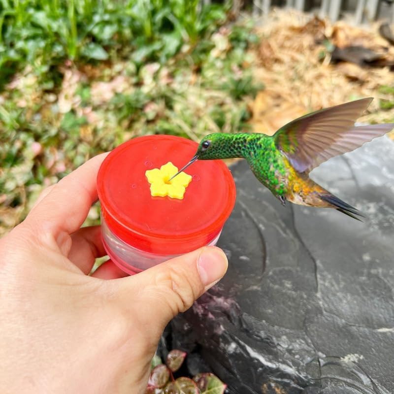 Hummingbird Feeder, 3Pcs Mini Flower Hand Held/Hanging Hummingbird Feeder, Hanging Humming Wild Bird Feeders for Outdoor Supplies
