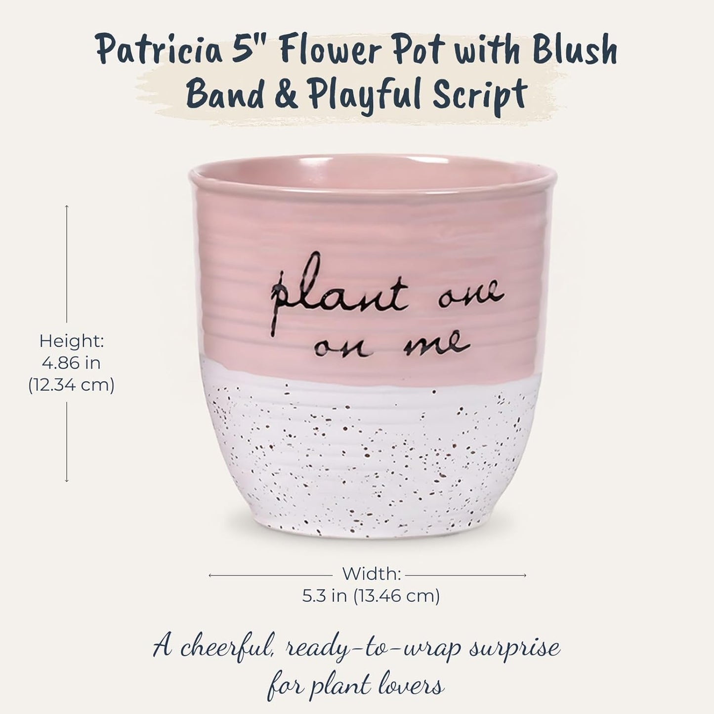 Blue Sky Clayworks Patricia Hanging Flower Pot, 6" x 5", Blush Script Charm for A Sunny Corner