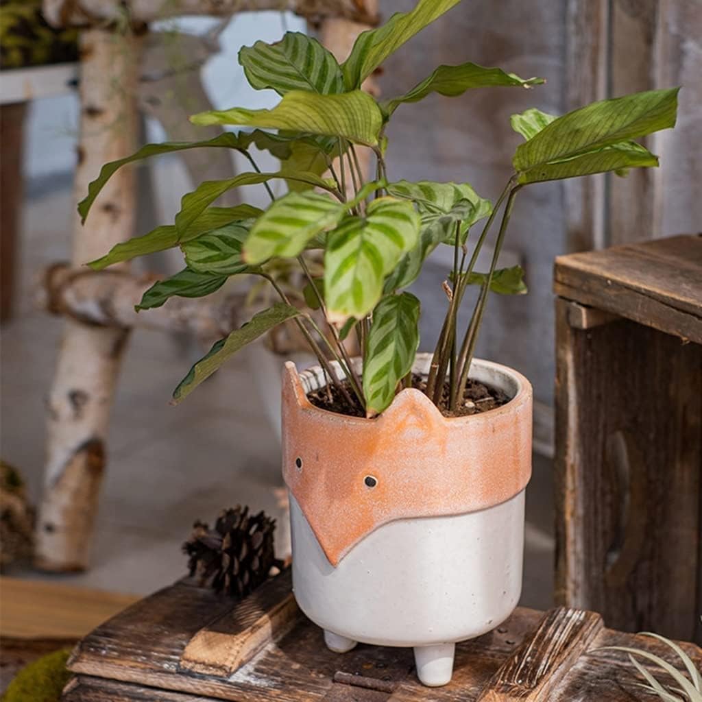 Planter Cute Ceramic Fox Flower Pot Small Plant Pots Unique Pots for P