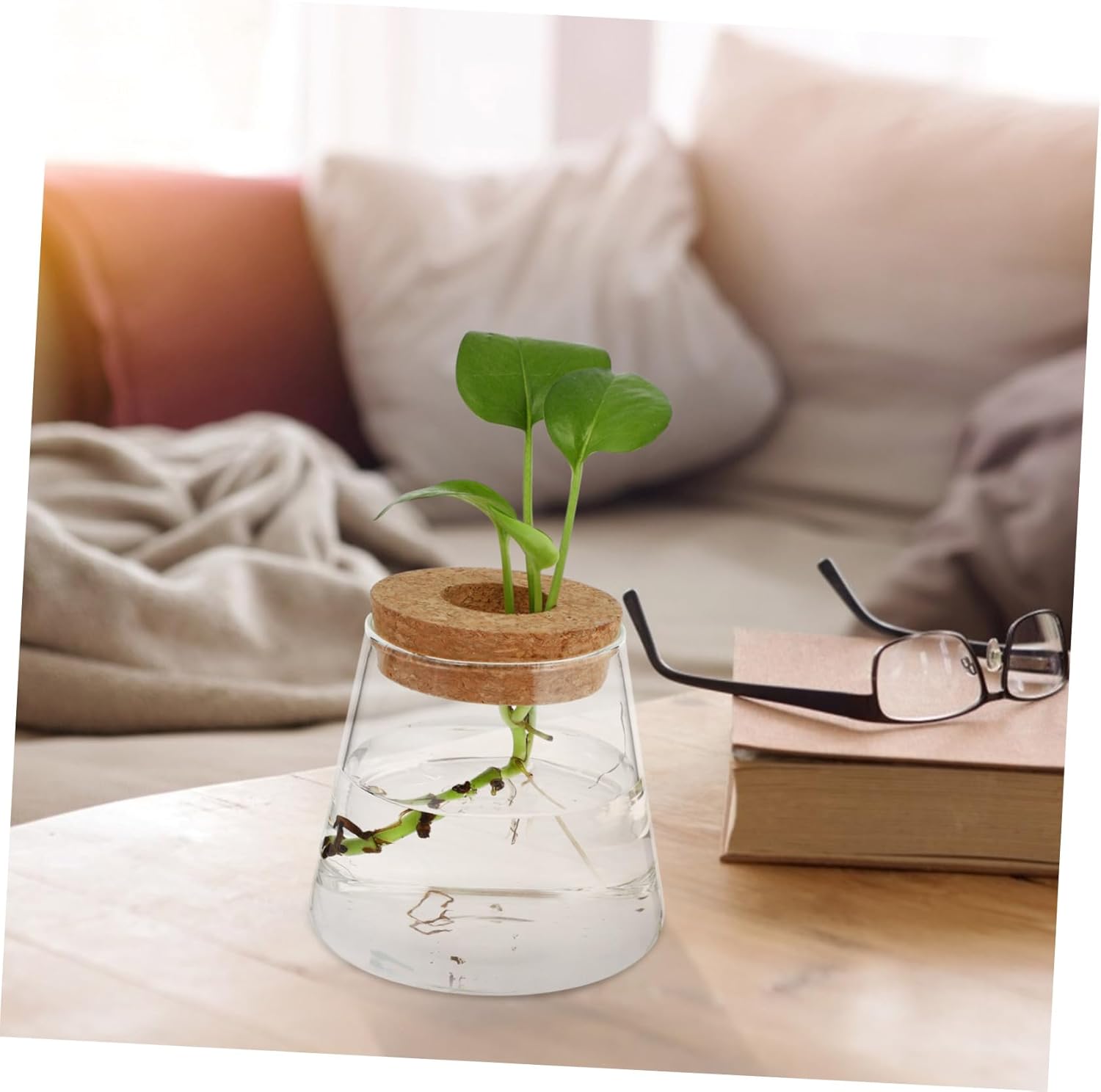 BESTOYARD 8pcs Glass Hydroponics Planter for Desktop Decoration Elegan