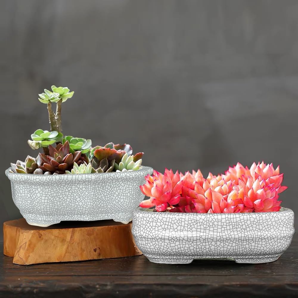 MUZHI 2 Pack Amazing Ice Crack Glazed Ceramic Bonsai Pot White Color 5 Inch with Bamboo Tray, Plant Pot Succulent Planter for Office Home Garden Decor Gift