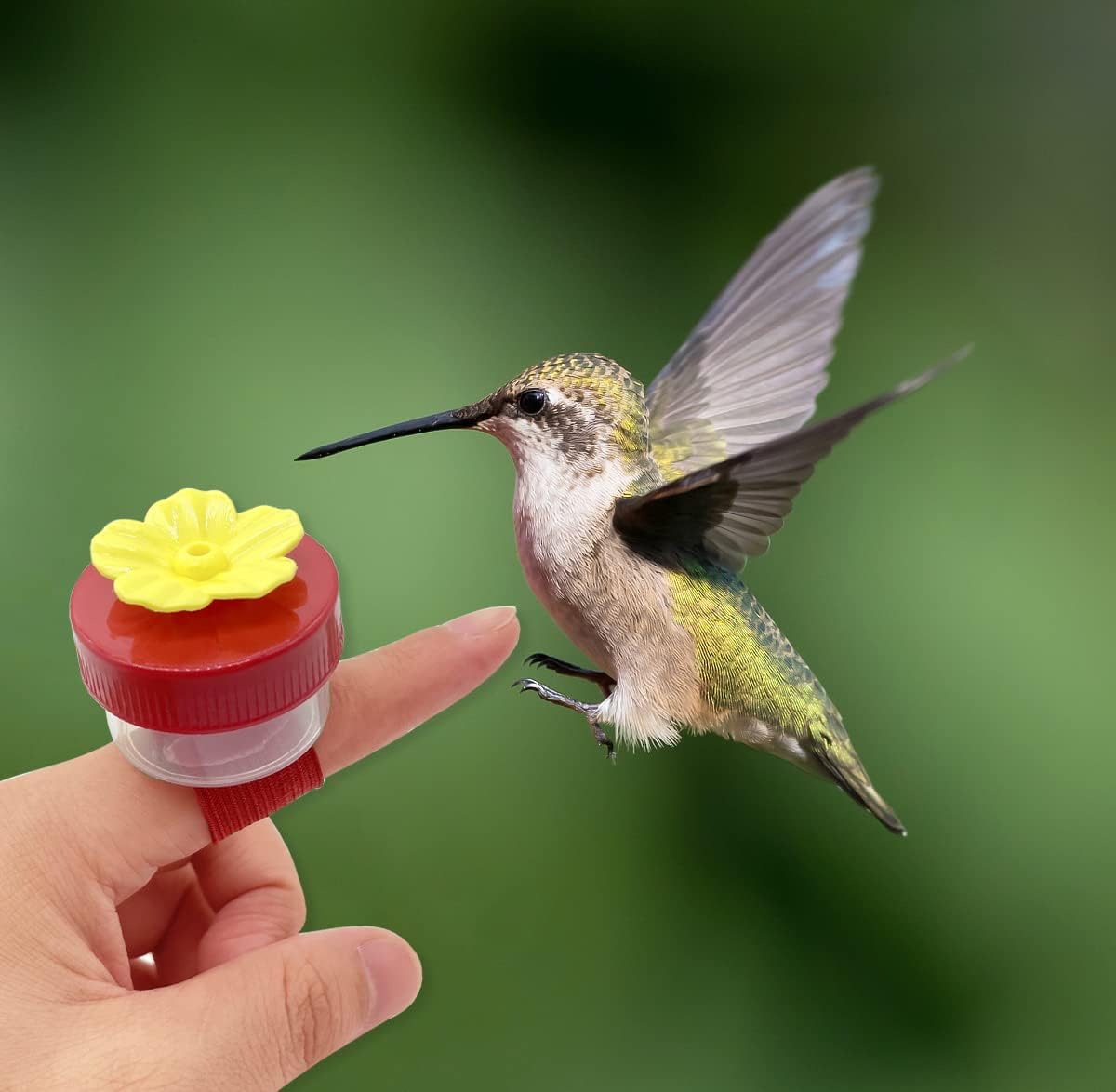 Hand Held Hummingbird Ring Feeders, 3Pcs Mini Hummingbird Hand Feeder with Cleaning Brush,Window Humming Wild Bird Feeders Tools for Outdoors Supplies,2 Styles, Red and Yellow