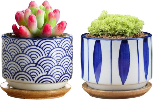 GeLive 3 Inch Ceramic Succulent Planter, Cactus Plant Pot, Flower Container with Bamboo Drip Tray, Indoor Outdoor, Set of 2 (Wave and Blue Flower)