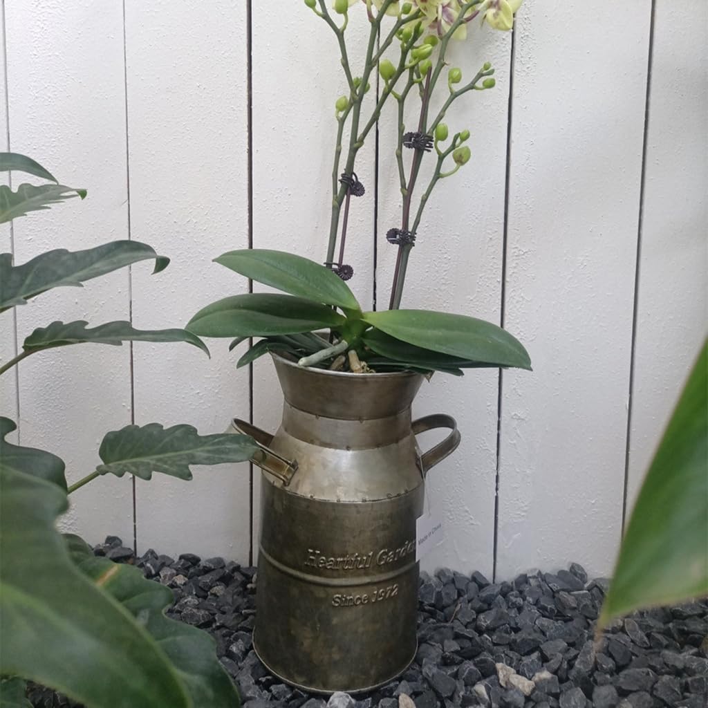 Metal Milk Can Antique Tin Bucket Flower Vase Garden Backyard Table De