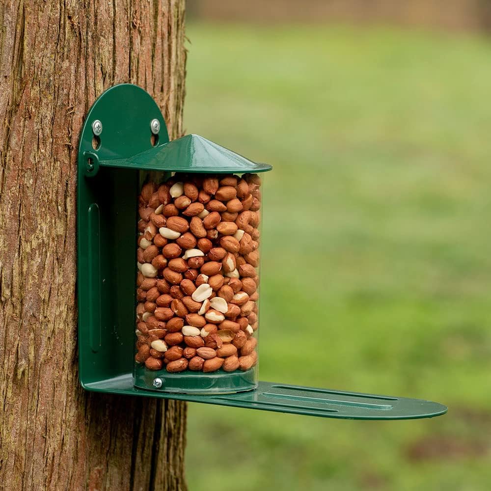 Green Metal Wild Squirrel Feeder - Garden Squirrel Feeding for Wildlife, Discourage Squirrels from Raiding and damaging Bird feeders by Providing Them with Their own Dedicated Feeder.