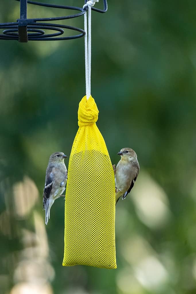Mr. Canary Yellow 'Pair of Socks' Finch Sock Feeders, 2pk, Seed-Filled