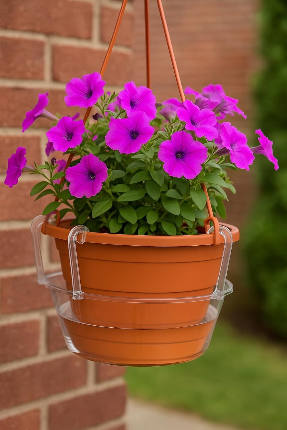 Curtis Wagner Plastics Hanging Basket Drip Pan, Clear, 12 Inch