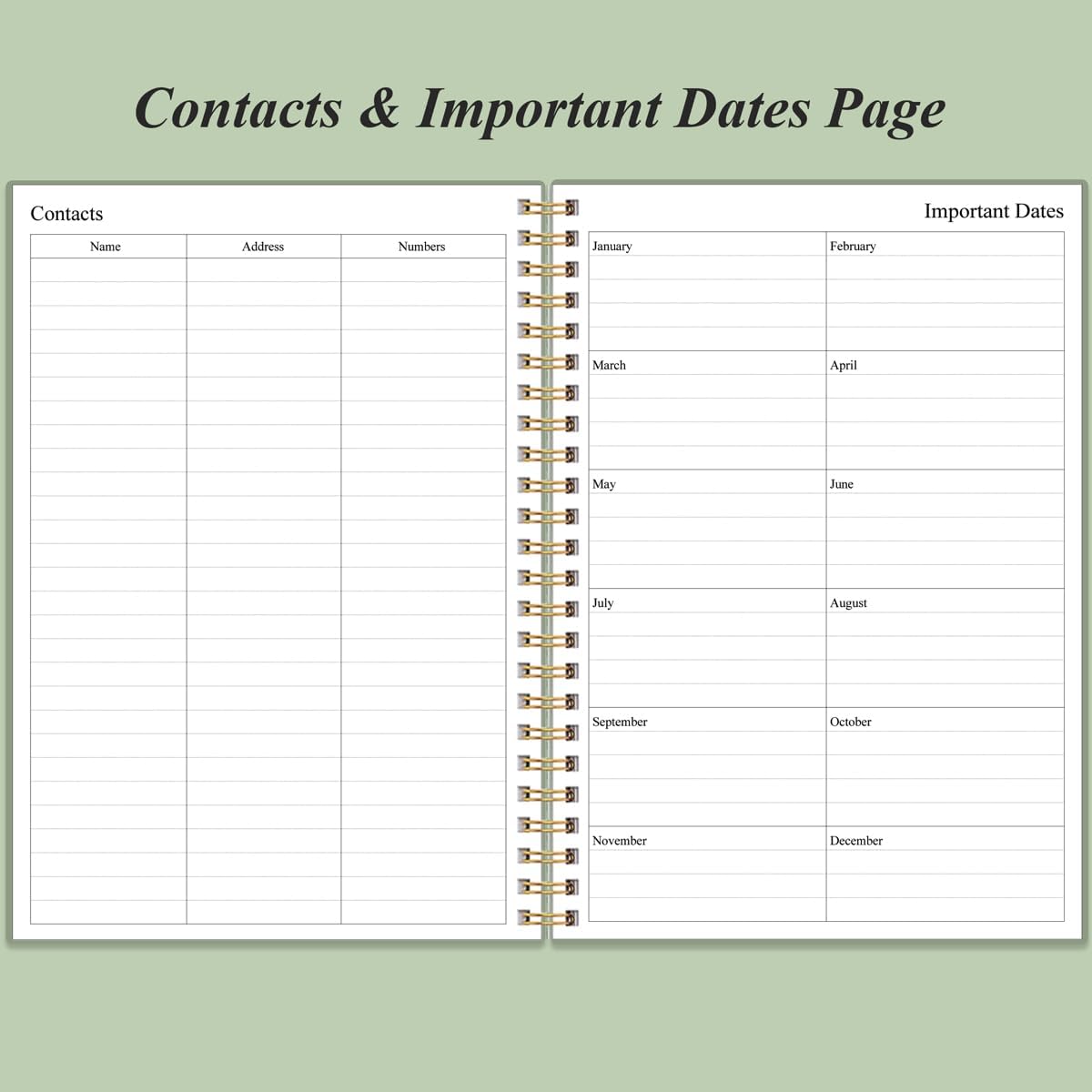 Daily Planner Undated - B5 To Do List Notebook Hourly Schedules, Spira