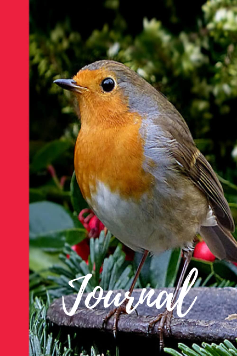 GARDEN BIRDS JOURNAL: Lovely image of a Robin Redbreast on the cover of this journal. Would be a lovely gift for a bird watcher.