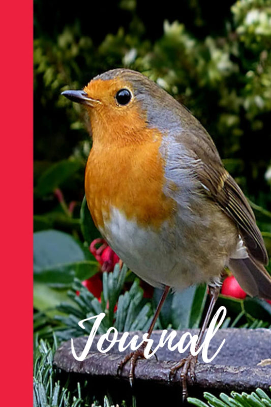 GARDEN BIRDS JOURNAL: Lovely image of a Robin Redbreast on the cover of this journal. Would be a lovely gift for a bird watcher.