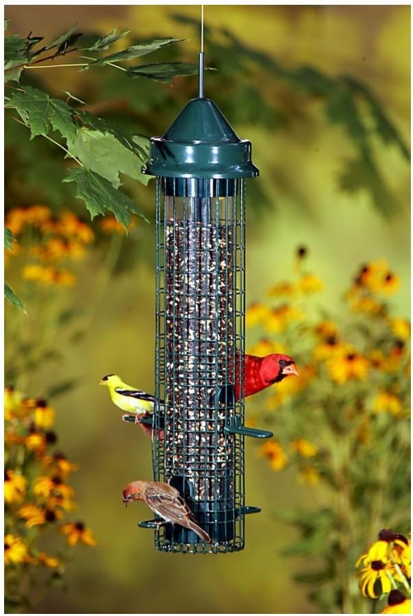 Brome Squirrel Buster Classic Squirrel-Proof Bird Feeder with 4 Feeding Ports, 2.4-Pound Seed Capacity (2 Pack)