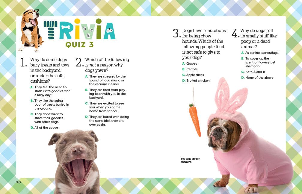 A Kid's Guide to Dogs: How to Train, Care for, and Play and Communicat