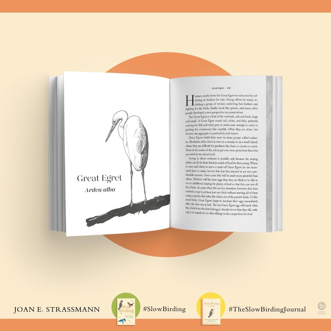The Slow Birding Journal: A Field Diary for Watching Birds Wherever You Are