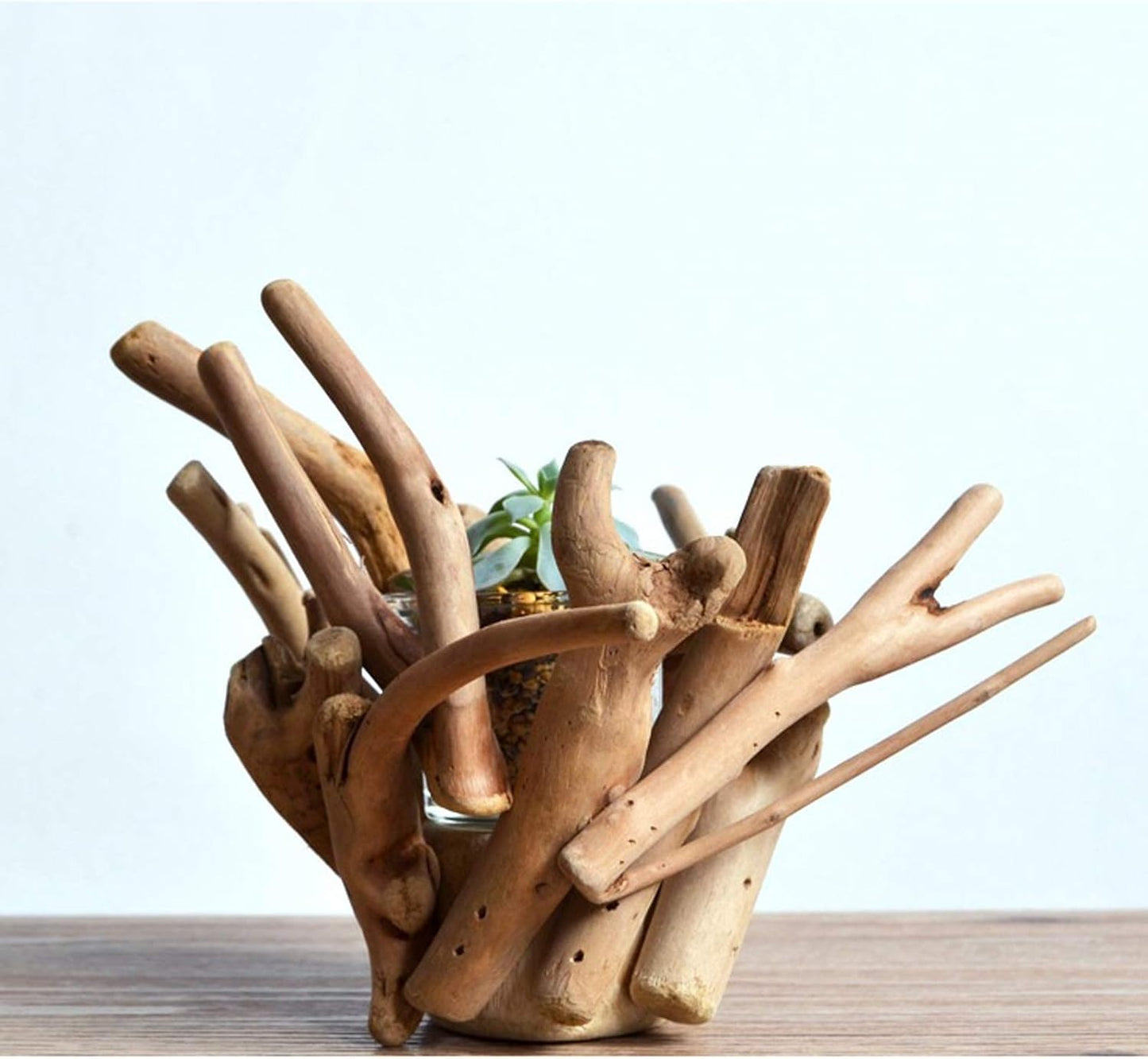 Planter Pot Solid Wood Flower Pot Unique Root-Shaped Planter Pots Suitable for Indoor and Outdoor Succulent Flower Pots(Plants NOT Included) Planting Pot Flower Pots