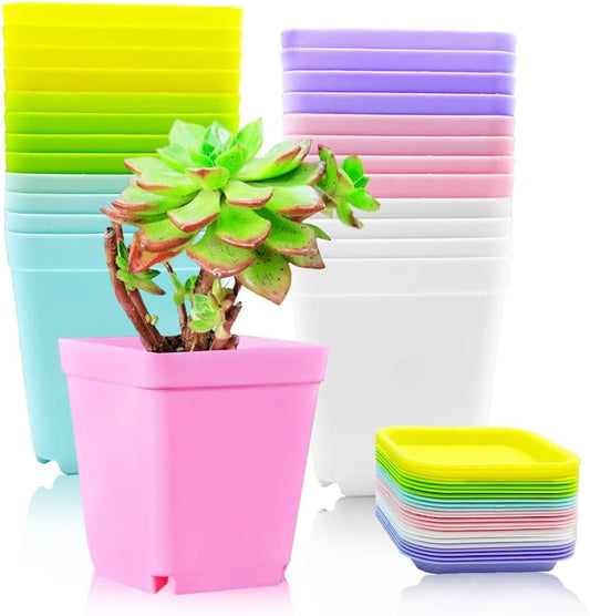 Haawooky 24 Pack Colorful Flower Pots Square Plastic Plant Pots Succul