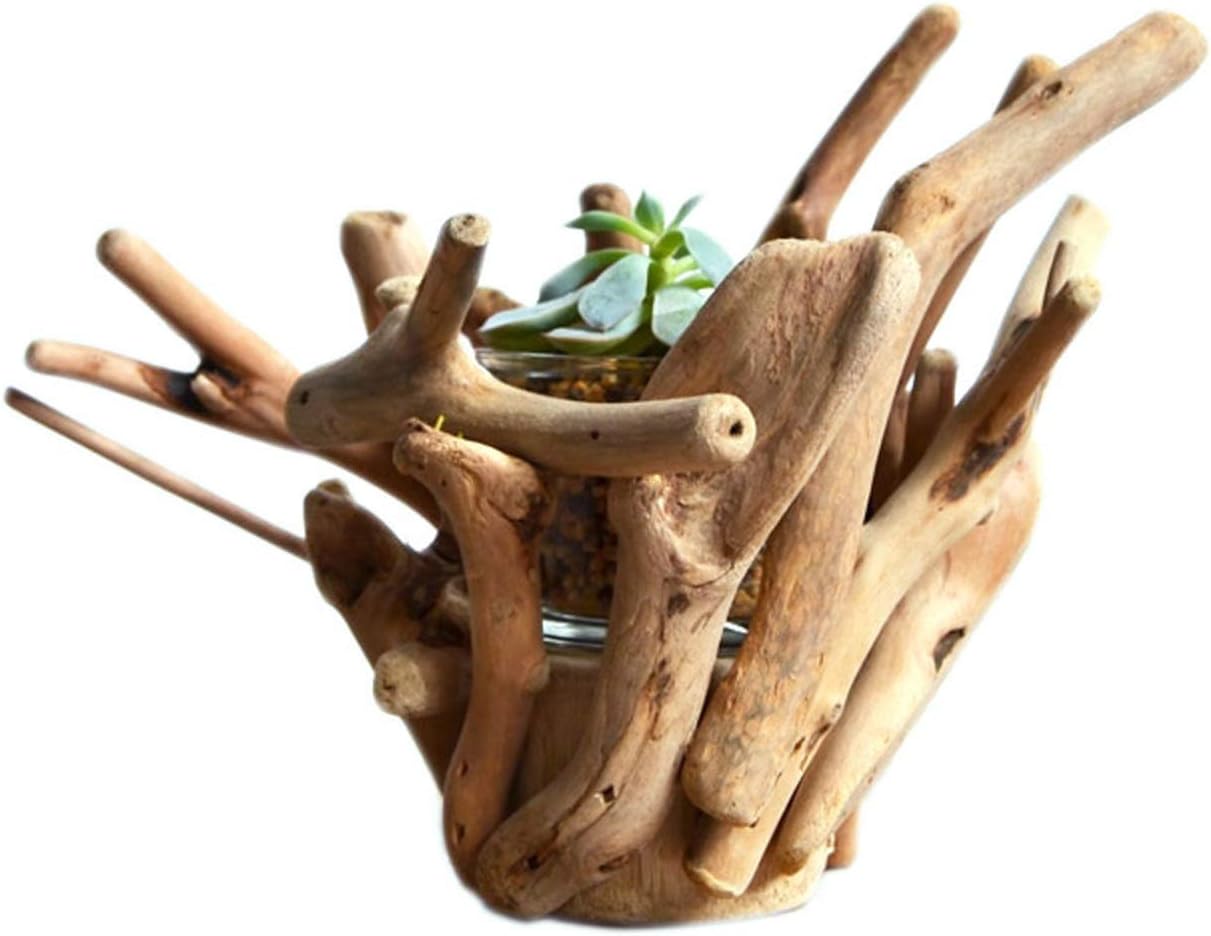 Planter Pot Solid Wood Flower Pot Unique Root-Shaped Planter Pots Suitable for Indoor and Outdoor Succulent Flower Pots(Plants NOT Included) Planting Pot Flower Pots