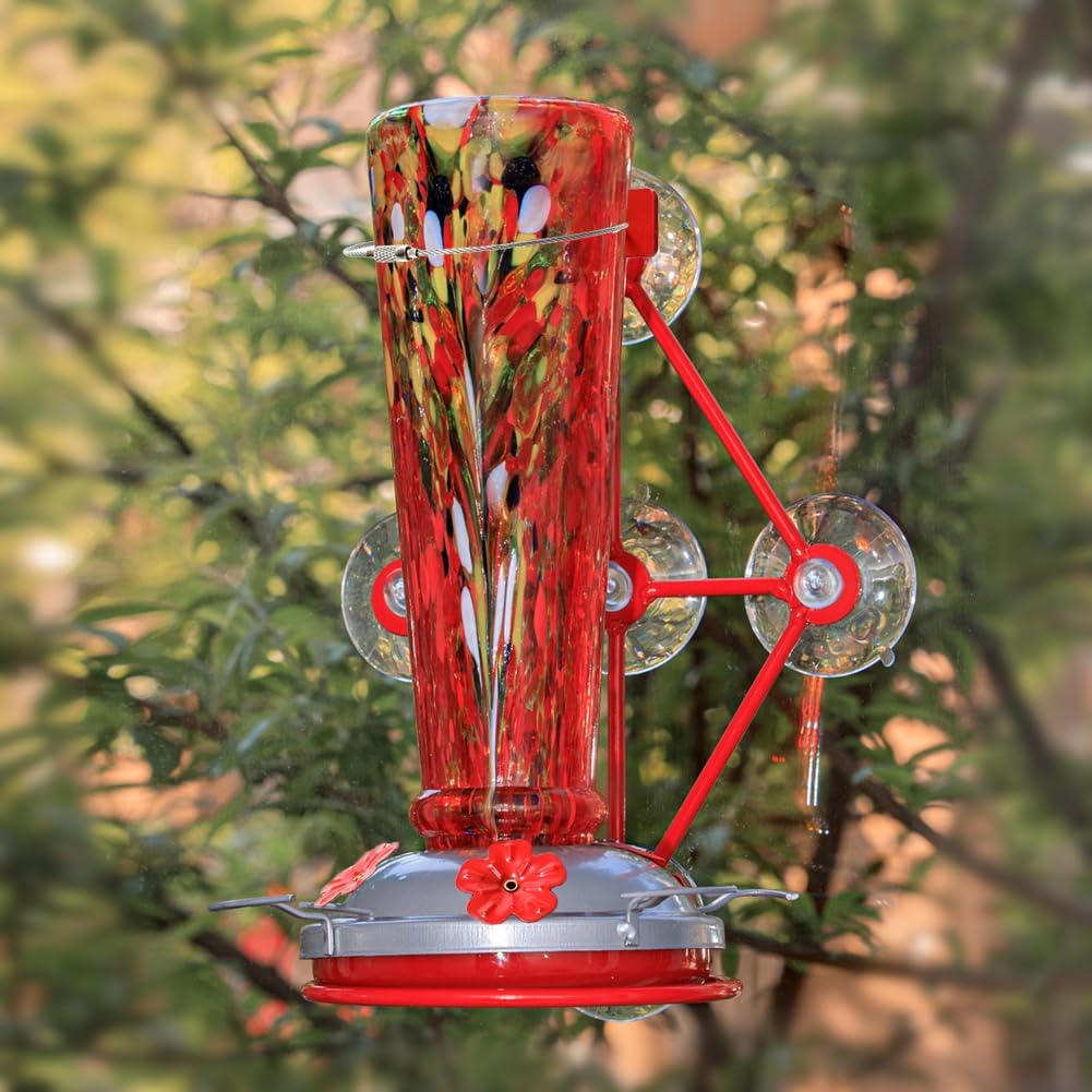 Window Hummingbird Feeder with 5 Strong Suction Cup 16 Ounces Colorful Hand-Blown Glass Hummingbird Feeder for Outdoor Patio Hanging Windows Mount (Red)