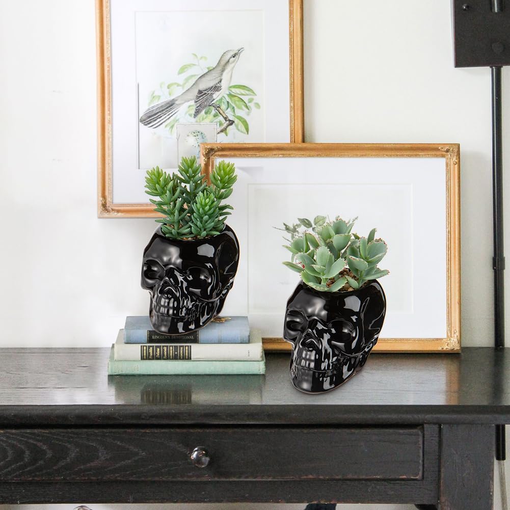 Small Fake Succulents Plants Artificial Succulents in Pots Set of 2 Mini Succulent Plant Realistic Faux Plants Skull Artificial Succulent Plants for Home Office Table Bedroom Bathroom Shelf Decor