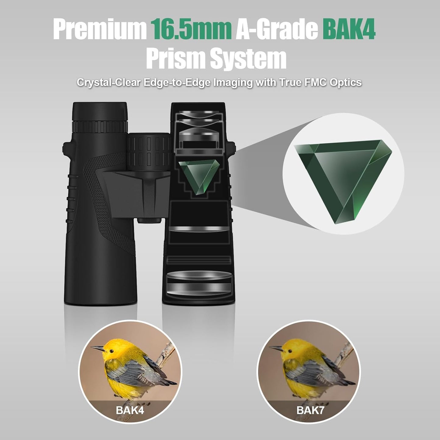 10x42 Binoculars with BAK4 Prism & FMC Coating - Waterproof Bird Watching Binoculars for Adults, Clear Daylight Vision for Hiking, Travel, Sports Events & Wildlife Observation