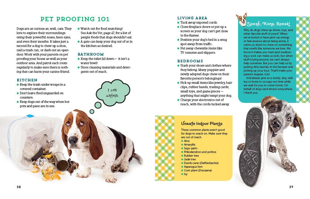 A Kid's Guide to Dogs: How to Train, Care for, and Play and Communicat